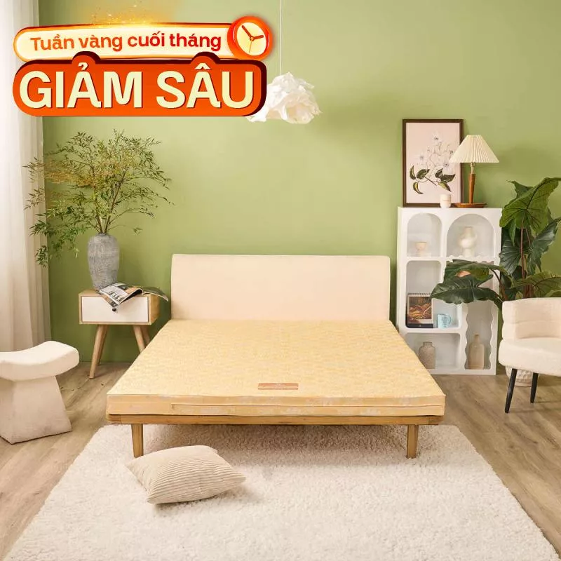 Nệm Bông ép Wonjun Pure Carbon kháng khuẩn ưu việt dày 10cm gấp 2 - Ảnh 2