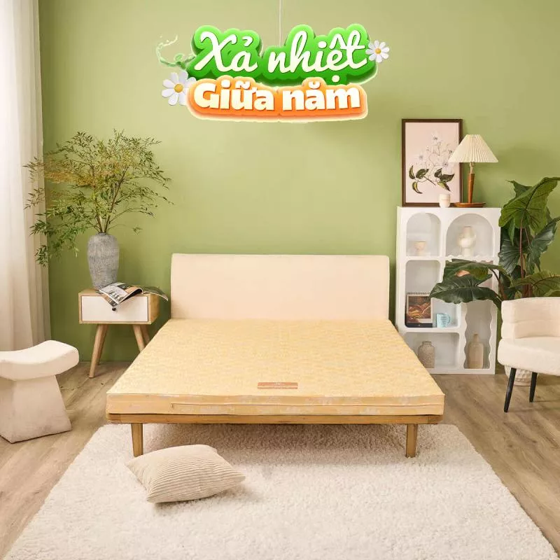 Nệm Bông ép Wonjun Pure Carbon kháng khuẩn ưu việt dày 10cm gấp 2 - Ảnh 2