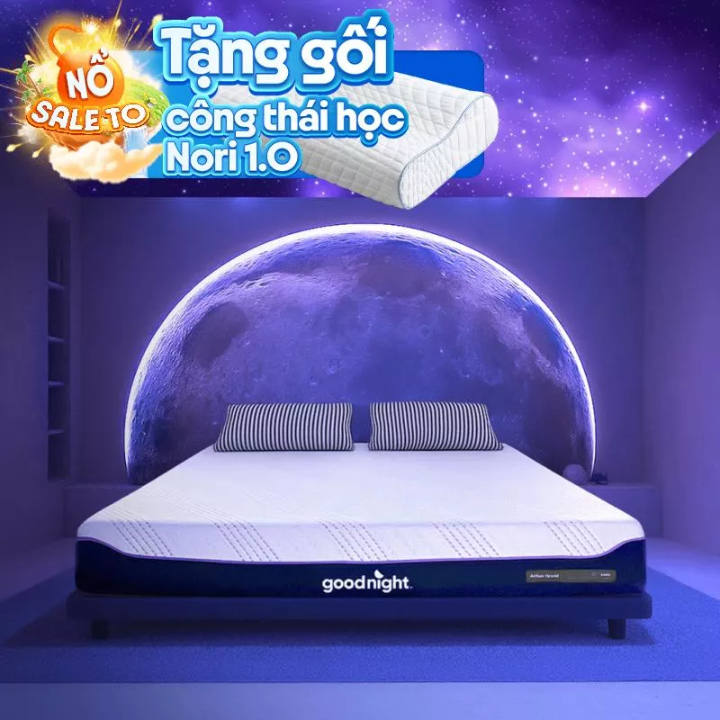 Nệm foam công nghệ Đức Goodnight Active Hybrid dày 20cm - Ảnh 2