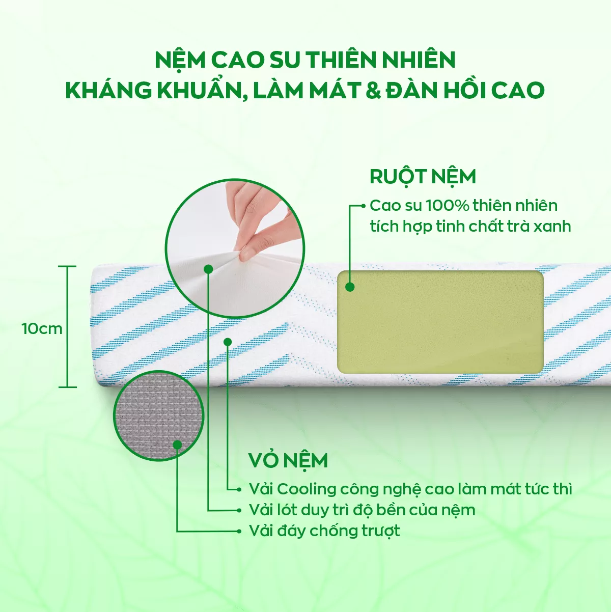 [Mở bán tặng bộ ga chun 1.8 triệu] Nệm cao su 100% thiên nhiên tinh chất trà xanh làm mát Gummi Signature - Ảnh 3