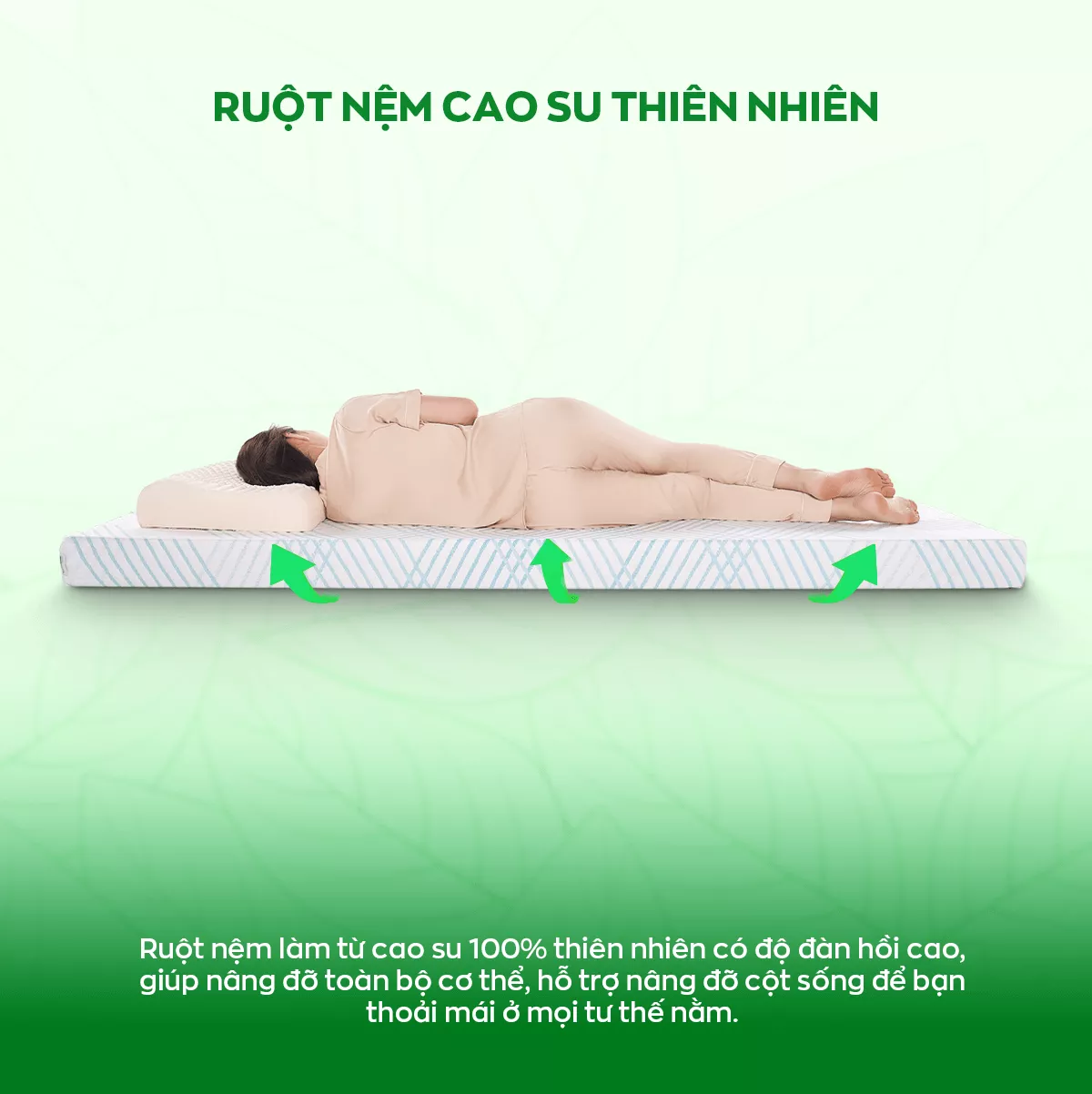 [Mở bán tặng bộ ga chun 1.8 triệu] Nệm cao su 100% thiên nhiên tinh chất trà xanh làm mát Gummi Signature - Ảnh 8