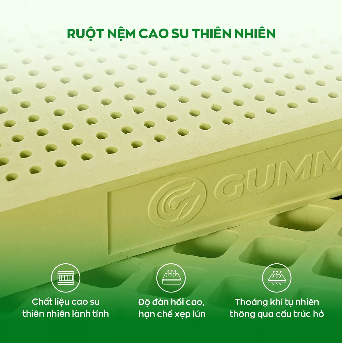 [Mở bán tặng bộ ga chun 1.8 triệu] Nệm cao su 100% thiên nhiên tinh chất trà xanh làm mát Gummi Signature - Ảnh 4
