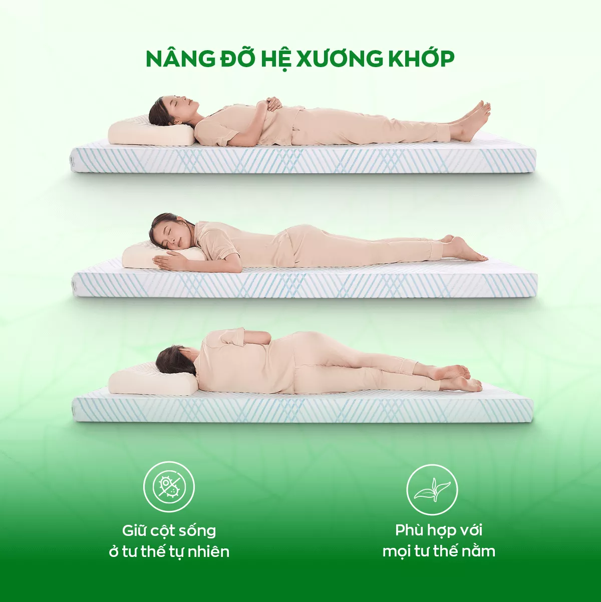 [Mở bán tặng bộ ga chun 1.8 triệu] Nệm cao su 100% thiên nhiên tinh chất trà xanh làm mát Gummi Signature - Ảnh 7